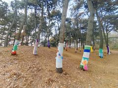 -沈阳植物园