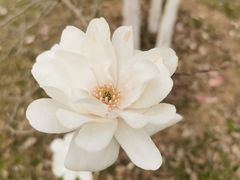 -陕西省西安植物园