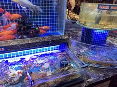 -五月罗马海鲜烤肉自助餐厅(印象城店)