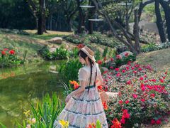 -人民公园(罗湖区)