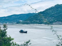 -北岐滩涂