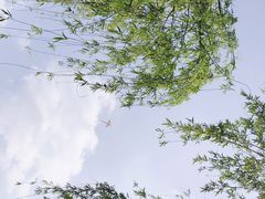 -湘遇餐厅(澎厨店)