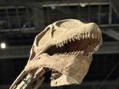 -自贡恐龙博物馆