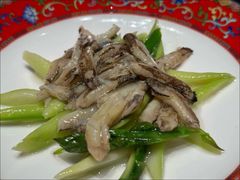 -新光酒家·河豚·海鲜·蟹料理(浦东店)