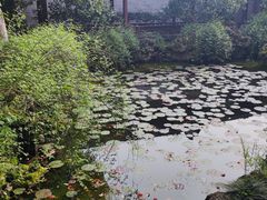 -天一阁博物院