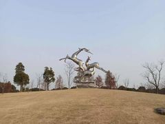 -广富林郊野公园