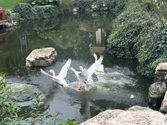 -西安国际创新人才交流中心•药浴温泉