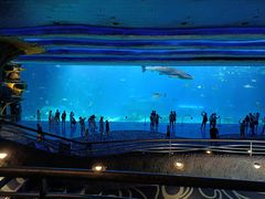 -珠海长隆海洋王国