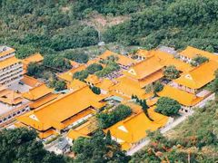 -深圳仙湖植物园