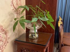 -小八仙·宴(三峡茶庄店)