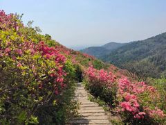 -木兰云雾山