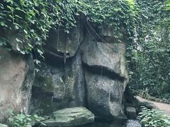 -南山植物园