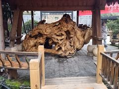 -天怡·鱼工厂(临江店)