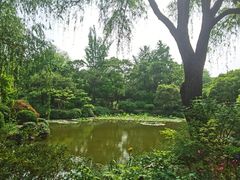 -秋霞圃