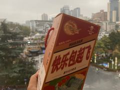 -包整·丝娃娃(一览甲秀楼风景店)