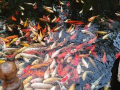 -龙达温泉生态城