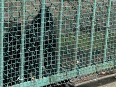 -秦皇岛野生动物园