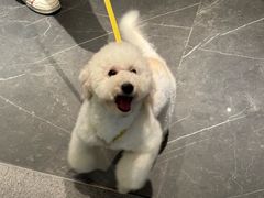 -长嘉·河图火锅(长嘉汇江景旗舰店)