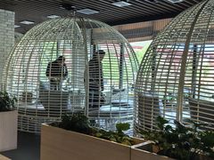 -玫瑰西餐厅.意面披萨.牛排咖啡