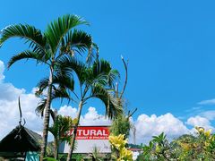 -自然餐厅(Phuket)