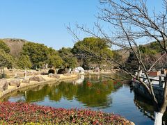 -白马涧龙池景区