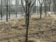 -太原动物园