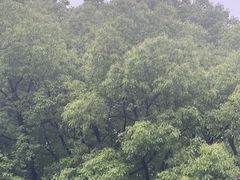 -杭州龙禧福朋喜来登酒店