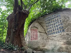 -乌山风景区