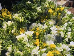 -循礼门鲜花花市(武汉循礼门店)