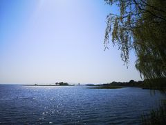 -太湖湖滨国家湿地公园-停车场