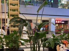 -顺风汤馆·广府粤菜(江宸天街店)