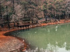 -东湖落雁景区