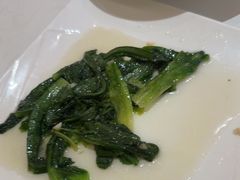 -锦粤宫·精致粤菜(深圳北站店)