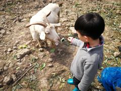 -小鱼草莓采摘园农家乐·小鱼餐厅
