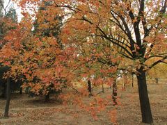 -北京植物园南门售票处