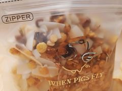 -WHEN PIGS FLY当猪飞