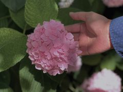 -上海滨江森林公园