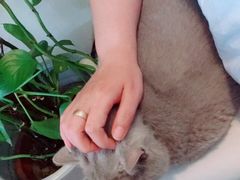 -小时光咖啡馆(北锣鼓巷店)