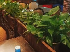 大堂-醉美东江·三文鱼·烧鸡公