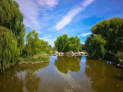 -北京西山国家森林公园