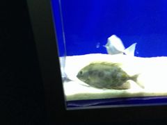 -洛阳龙门海洋馆