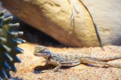 -酷嗒动物文化乐园(cutezoo西溪乐天城店)