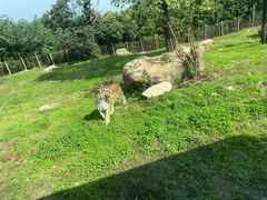 -西安秦岭野生动物园