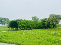 -良渚古城遗址公园