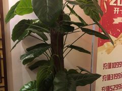 -智慧盲人按摩艾灸-颈肩腰膝疼痛调理(浦东店)