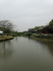 -水八仙生态园