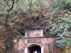 -黔灵山公园
