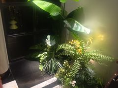 -大逸传奇·足道SPA(天美店)