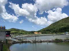 -盐洲岛