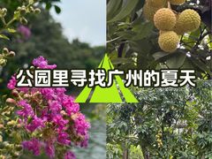 -荔湾湖公园
